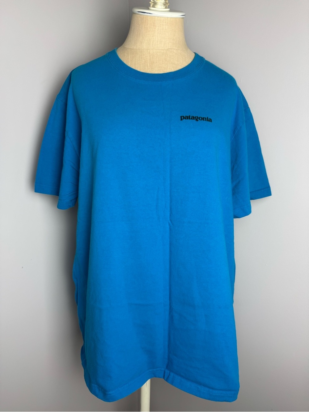 Patagonia Men's Short Sleeve Tee in Bright Blue
